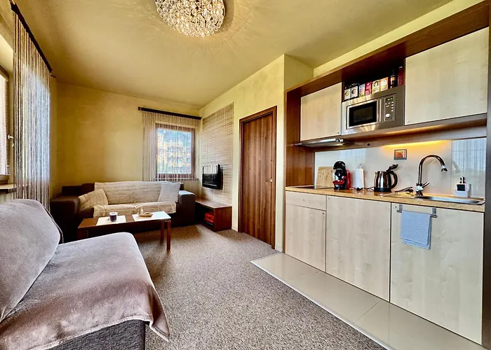 Apartment Tatrytime H 206 *